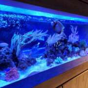 ヒメ日記 2026/04/01 16:45 投稿 すず 池袋西口でSUGEEE求められる俺のカラダ