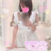 ヒメ日記 2025/04/25 23:24 投稿 なつみ ときめきビンビンリゾートｉｎ熊谷