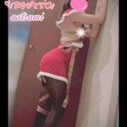 なつみ 《28日お礼🦋》パピヨンの本指名様♡ ときめきビンビンリゾートｉｎ熊谷