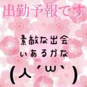 ヒメ日記 2024/03/27 22:02 投稿 あさみ マダム西船橋