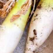 ヒメ日記 2025/02/11 14:30 投稿 あさみ マダム西船橋