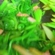 ヒメ日記 2025/02/20 19:50 投稿 あさみ マダム西船橋