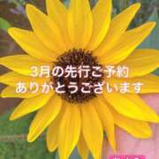 ヒメ日記 2025/02/22 19:58 投稿 あさみ マダム西船橋