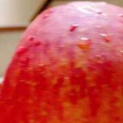 ヒメ日記 2025/04/06 09:40 投稿 あさみ マダム西船橋