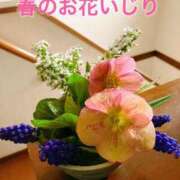 ヒメ日記 2025/04/06 13:40 投稿 あさみ マダム西船橋