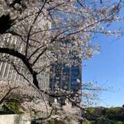 ヒメ日記 2025/04/09 14:20 投稿 あさみ マダム西船橋