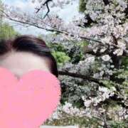 ヒメ日記 2025/04/10 08:20 投稿 あさみ マダム西船橋