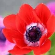 ヒメ日記 2025/04/10 20:50 投稿 あさみ マダム西船橋