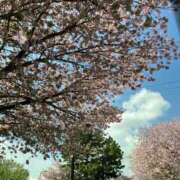 ヒメ日記 2025/04/14 16:01 投稿 あさみ マダム西船橋