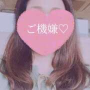 ヒメ日記 2025/04/20 10:20 投稿 あさみ マダム西船橋