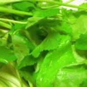 ヒメ日記 2025/04/21 17:30 投稿 あさみ マダム西船橋