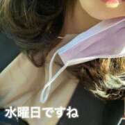 ヒメ日記 2025/04/23 08:00 投稿 あさみ マダム西船橋