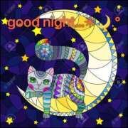 ヒメ日記 2025/04/25 23:20 投稿 あさみ マダム西船橋