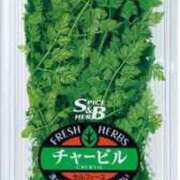 ヒメ日記 2025/05/07 16:30 投稿 あさみ マダム西船橋