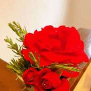 ヒメ日記 2025/05/09 17:20 投稿 あさみ マダム西船橋