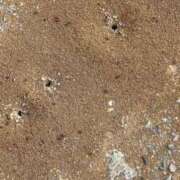 ヒメ日記 2025/05/27 11:50 投稿 あさみ マダム西船橋