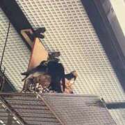 ヒメ日記 2025/06/06 09:20 投稿 あさみ マダム西船橋