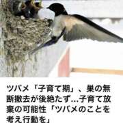 ヒメ日記 2025/06/15 10:50 投稿 あさみ マダム西船橋