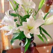 ヒメ日記 2025/06/15 16:00 投稿 あさみ マダム西船橋