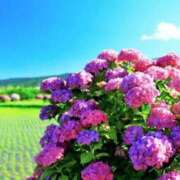 ヒメ日記 2025/06/19 21:20 投稿 あさみ マダム西船橋