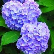 ヒメ日記 2025/06/19 21:32 投稿 あさみ マダム西船橋