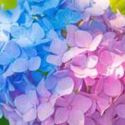 ヒメ日記 2025/06/25 21:20 投稿 あさみ マダム西船橋