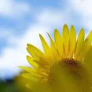 ヒメ日記 2025/07/01 05:10 投稿 あさみ マダム西船橋