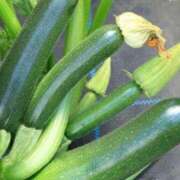 ヒメ日記 2025/07/03 20:20 投稿 あさみ マダム西船橋