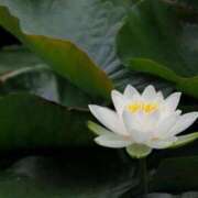 ヒメ日記 2025/07/04 21:20 投稿 あさみ マダム西船橋