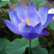 ヒメ日記 2025/07/10 20:10 投稿 あさみ マダム西船橋