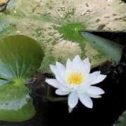 ヒメ日記 2025/07/15 21:20 投稿 あさみ マダム西船橋