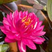 ヒメ日記 2025/07/22 20:50 投稿 あさみ マダム西船橋