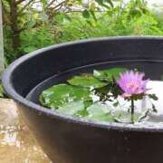 ヒメ日記 2025/07/29 20:20 投稿 あさみ マダム西船橋