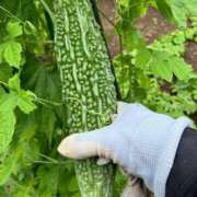 ヒメ日記 2025/08/02 11:50 投稿 あさみ マダム西船橋