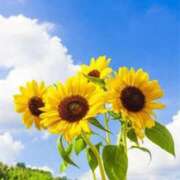 ヒメ日記 2025/08/05 22:01 投稿 あさみ マダム西船橋