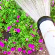 ヒメ日記 2025/08/06 05:20 投稿 あさみ マダム西船橋