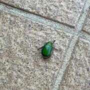 ヒメ日記 2025/08/15 11:20 投稿 あさみ マダム西船橋