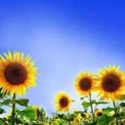 ヒメ日記 2025/08/20 21:20 投稿 あさみ マダム西船橋