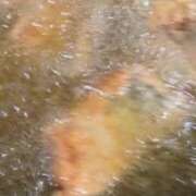 ヒメ日記 2025/08/21 18:30 投稿 あさみ マダム西船橋