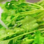 ヒメ日記 2025/10/21 15:50 投稿 あさみ マダム西船橋