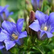 ヒメ日記 2025/10/31 20:00 投稿 あさみ マダム西船橋