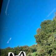 ヒメ日記 2025/11/03 15:50 投稿 あさみ マダム西船橋