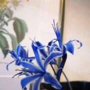 ヒメ日記 2025/11/18 21:10 投稿 あさみ マダム西船橋