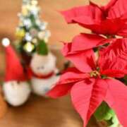 ヒメ日記 2025/12/05 20:40 投稿 あさみ マダム西船橋