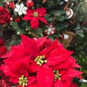 ヒメ日記 2025/12/26 21:40 投稿 あさみ マダム西船橋