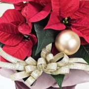 ヒメ日記 2025/12/26 21:50 投稿 あさみ マダム西船橋