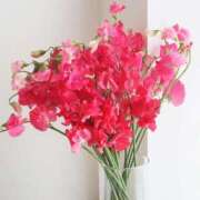 ヒメ日記 2026/01/06 21:10 投稿 あさみ マダム西船橋