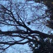 ヒメ日記 2026/01/08 08:30 投稿 あさみ マダム西船橋