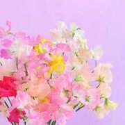 ヒメ日記 2026/01/08 20:50 投稿 あさみ マダム西船橋