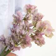 ヒメ日記 2026/01/15 20:50 投稿 あさみ マダム西船橋